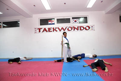 taekwondo kwon training